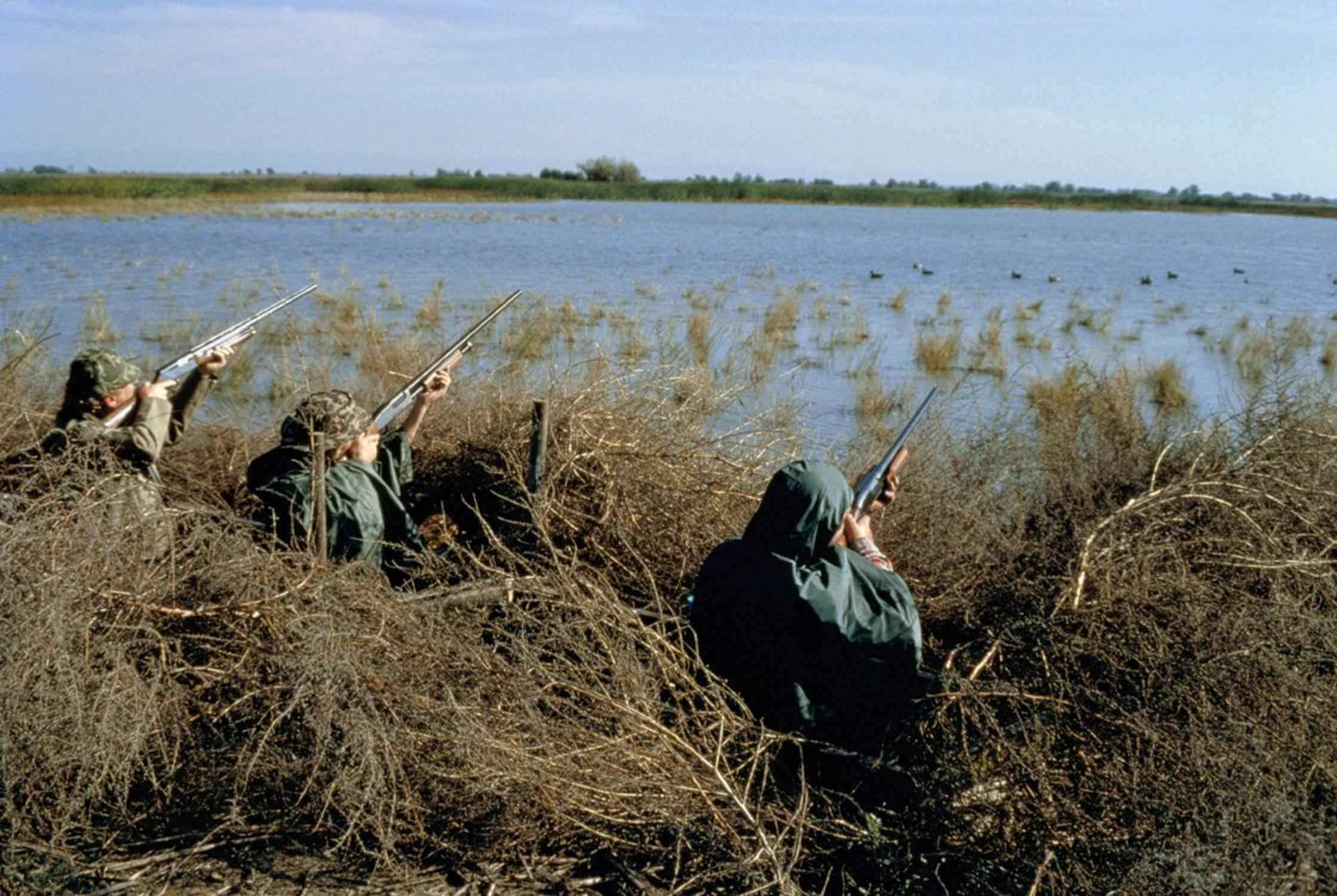 Il Governo “celebra” la Giornata della biodiversità… distruggendola